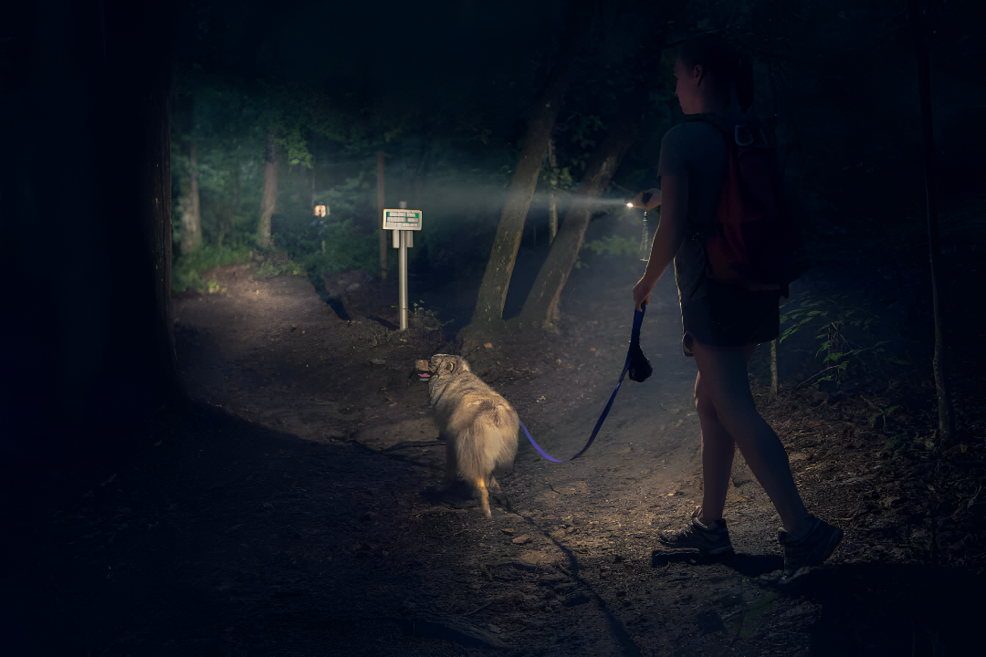 Lighting the Way with Reliable Flashlights